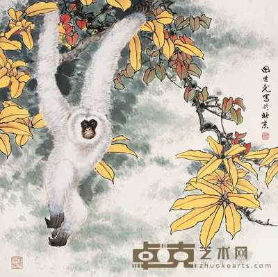 田世光  白猿 镜心 68.5×68.5cm